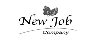 New Job Company